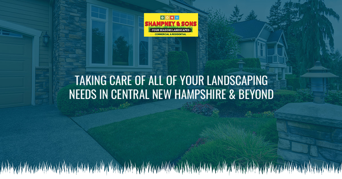 Services Shampney & Sons Four Seasons Landscaping